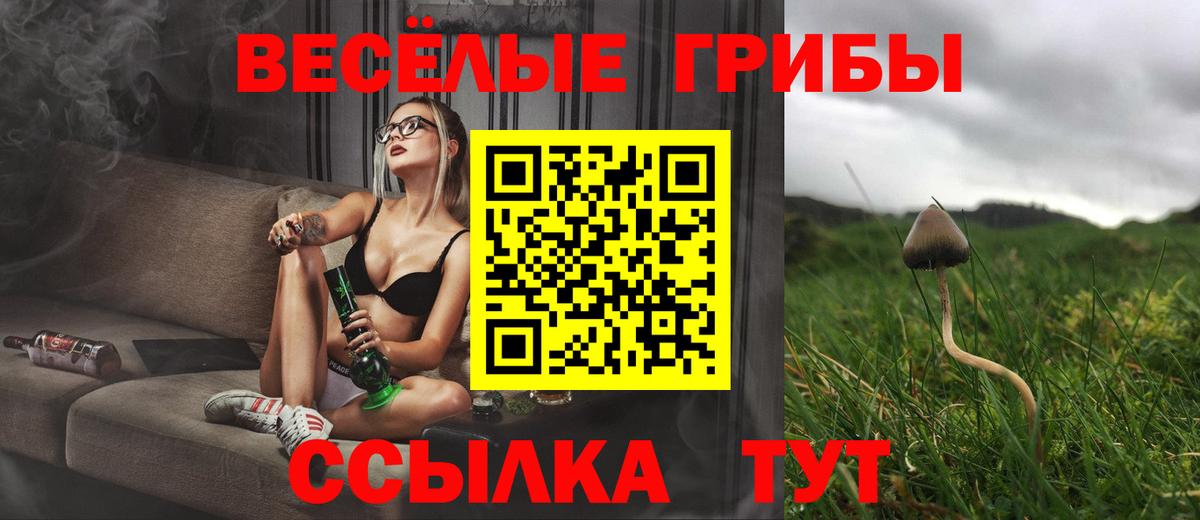 Галлюциногенные грибы прущие грибы Ейск