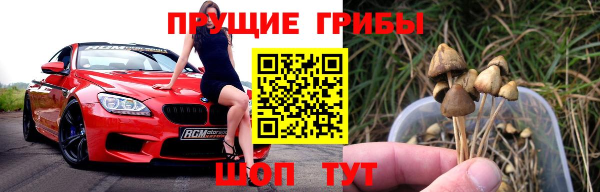 Псилоцибиновые грибы Cubensis  Псилоцибиновые грибы GOLDEN TEACHER  Ейск  Вход с VPN 